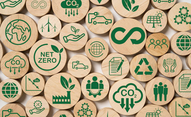 Matériaux biodégradables et respectueux de l'environnement dans la fabrication de véhicules modernes
